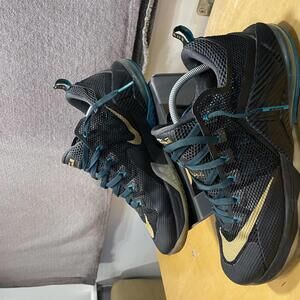 NIKE LEBRON 12 LOW CARBON FIBER